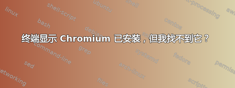 终端显示 Chromium 已安装，但我找不到它？