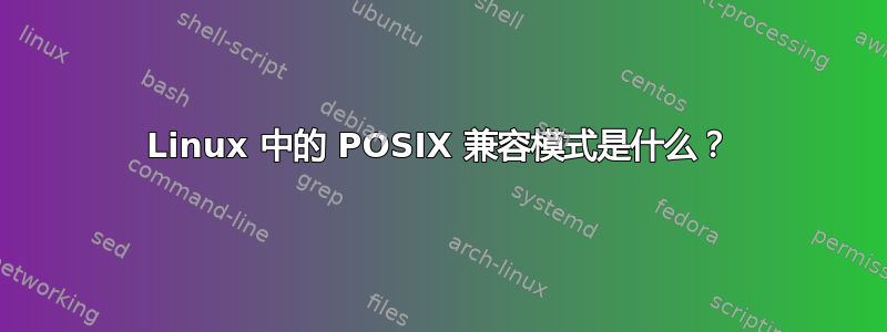 Linux 中的 POSIX 兼容模式是什么？