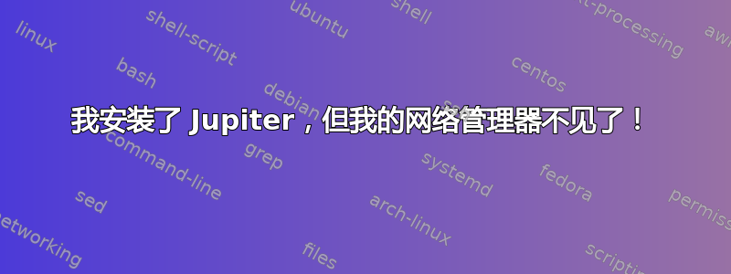 我安装了 Jupiter，但我的网络管理器不见了！