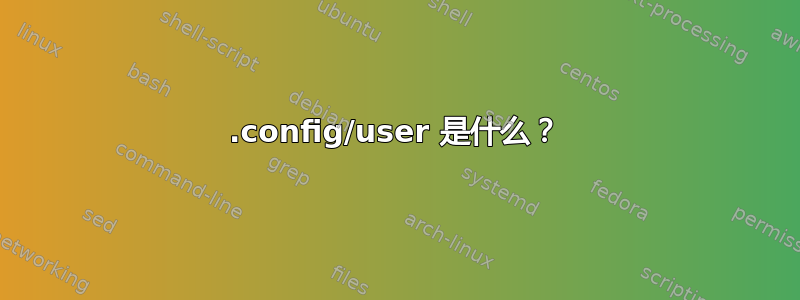 .config/user 是什么？