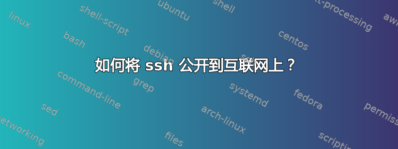 如何将 ssh 公开到互联网上？