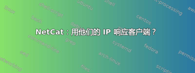 NetCat：用他们的 IP 响应客户端？