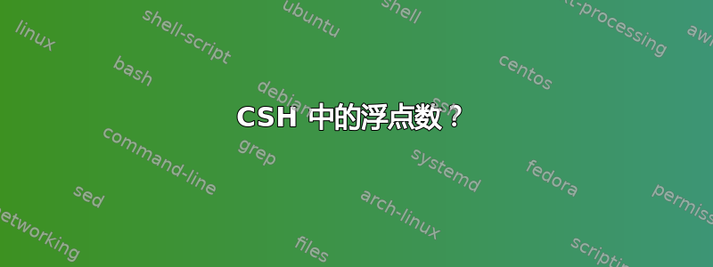 CSH 中的浮点数？