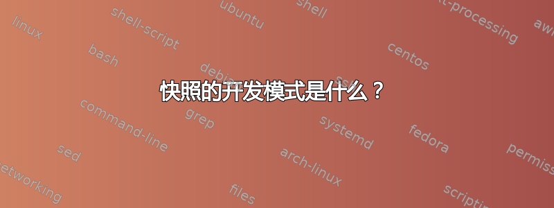 快照的开发模式是什么？