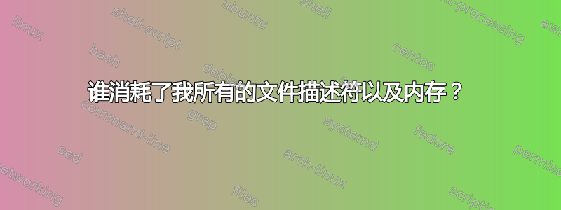 谁消耗了我所有的文件描述符以及内存？