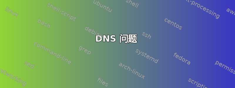 DNS 问题