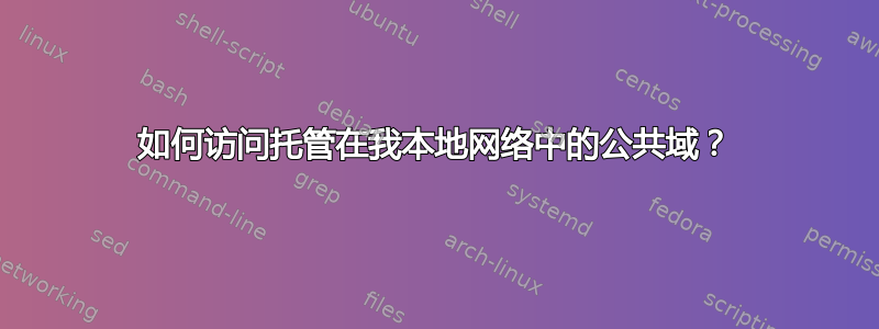 如何访问托管在我本地网络中的公共域？