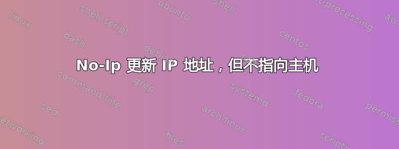 No-Ip 更新 IP 地址，但不指向主机