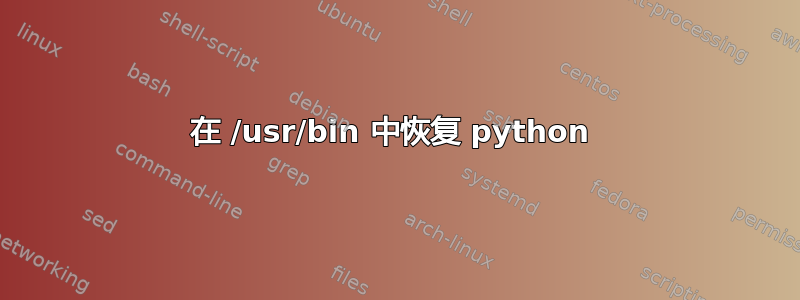 在 /usr/bin 中恢复 python 