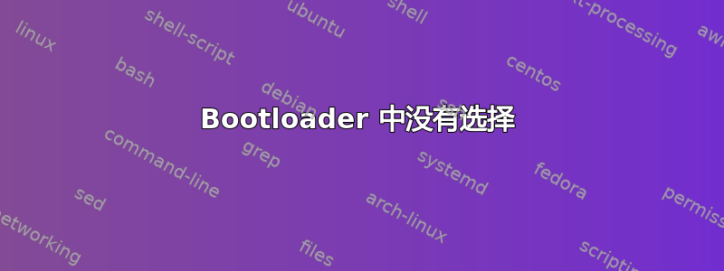 Bootloader 中没有选择