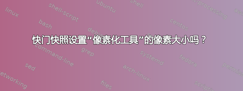 快门快照设置“像素化工具”的像素大小吗？