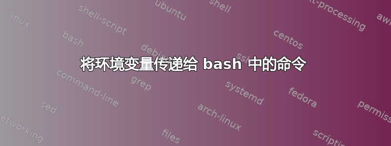 将环境变量传递给 bash 中的命令