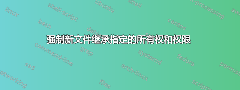 强制新文件继承指定的所有权和权限