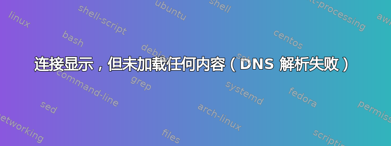 连接显示，但未加载任何内容（DNS 解析失败）