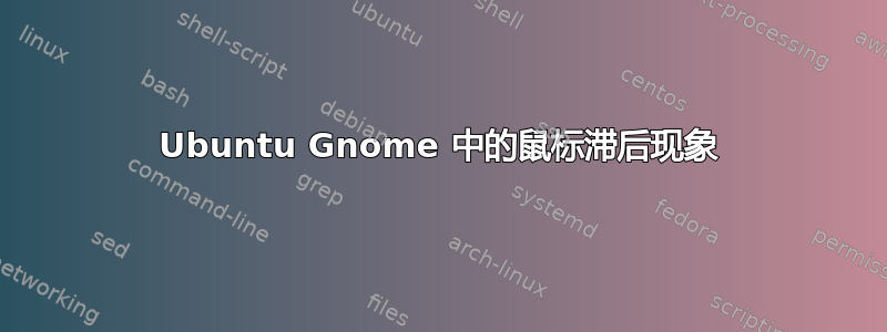 Ubuntu Gnome 中的鼠标滞后现象