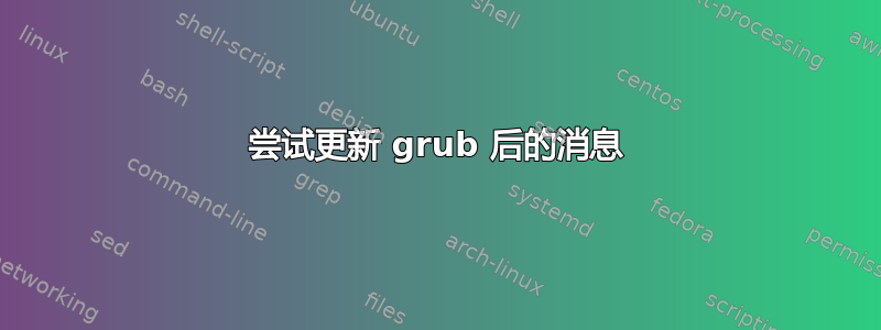 尝试更新 grub 后的消息