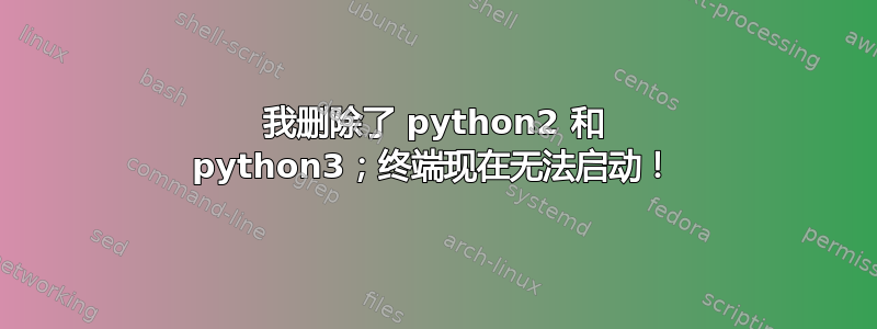 我删除了 python2 和 python3；终端现在无法启动！