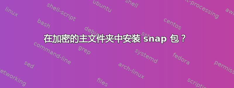 在加密的主文件夹中安装 snap 包？