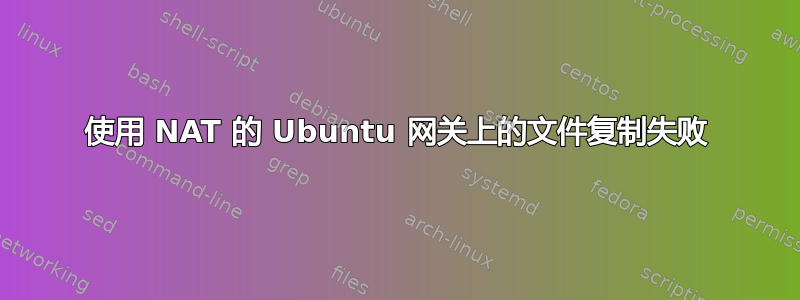 使用 NAT 的 Ubuntu 网关上的文件复制失败