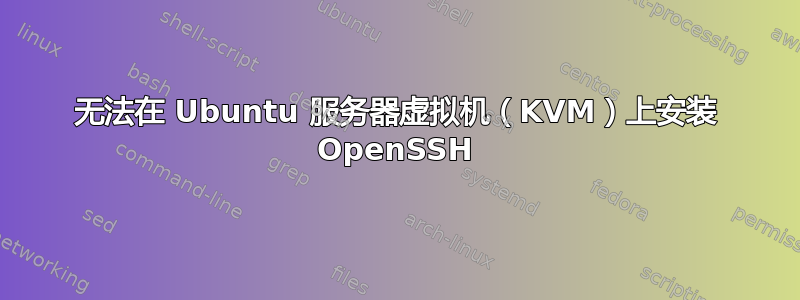 无法在 Ubuntu 服务器虚拟机（KVM）上安装 OpenSSH