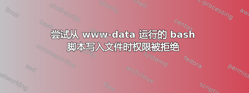 尝试从 www-data 运行的 bash 脚本写入文件时权限被拒绝