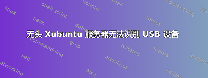 无头 Xubuntu 服务器无法识别 USB 设备