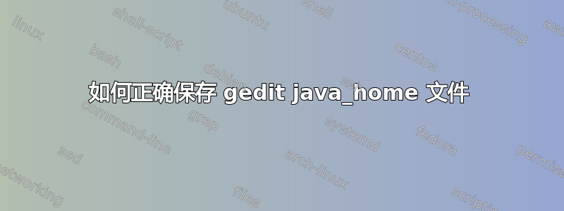 如何正确保存 gedit java_home 文件