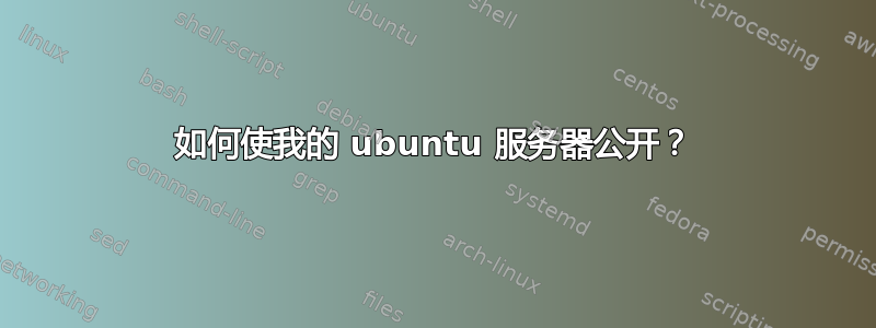 如何使我的 ubuntu 服务器公开？