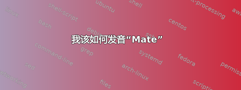 我该如何发音“Mate” 