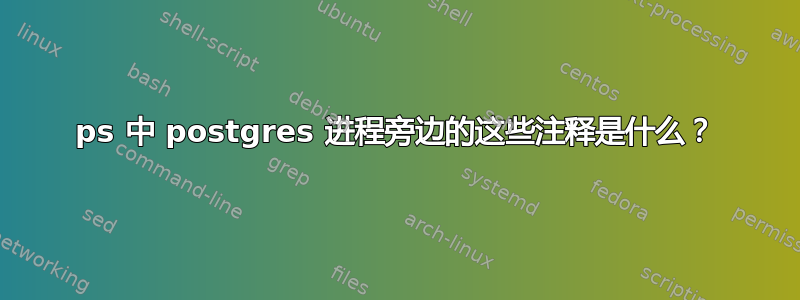 ps 中 postgres 进程旁边的这些注释是什么？