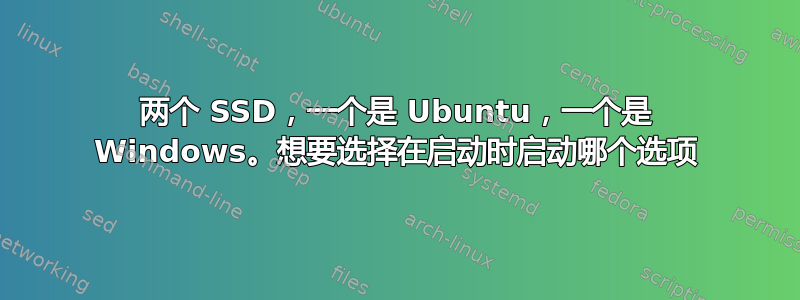 两个 SSD，一个是 Ubuntu，一个是 Windows。想要选择在启动时启动哪个选项