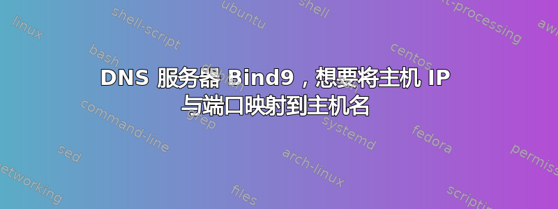 DNS 服务器 Bind9，想要将主机 IP 与端口映射到主机名