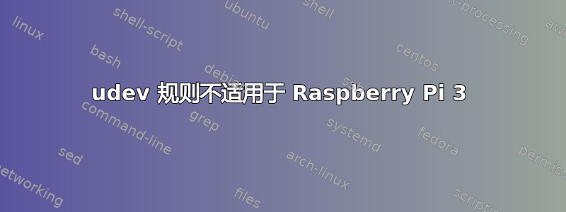 udev 规则不适用于 Raspberry Pi 3