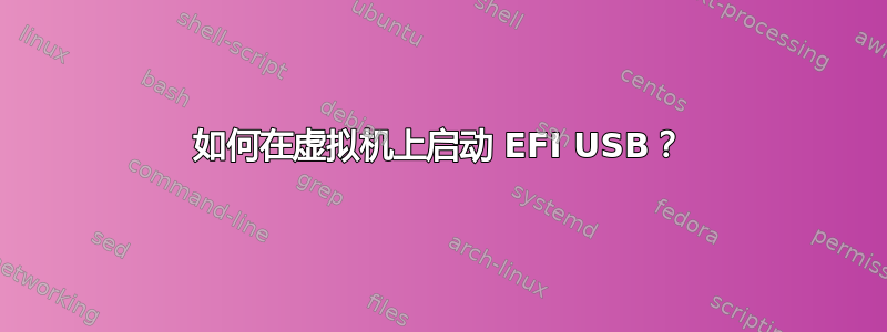 如何在虚拟机上启动 EFI USB？