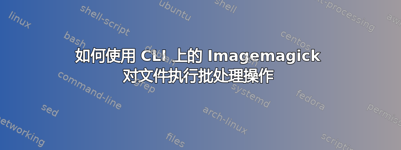 如何使用 CLI 上的 Imagemagick 对文件执行批处理操作