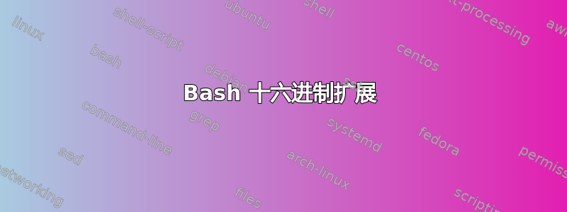 Bash 十六进制扩展