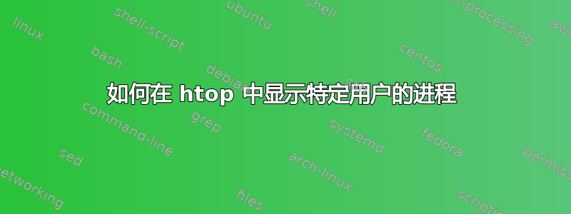 如何在 htop 中显示特定用户的进程