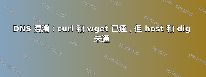 DNS 混淆：curl 和 wget 已通，但 host 和 dig 未通