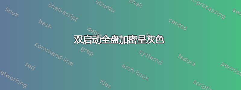 双启动全盘加密呈灰色