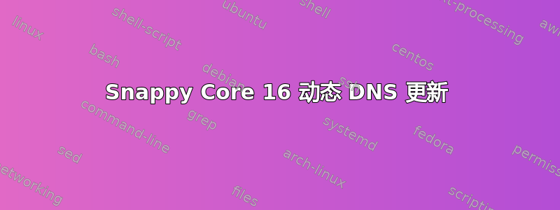 Snappy Core 16 动态 DNS 更新