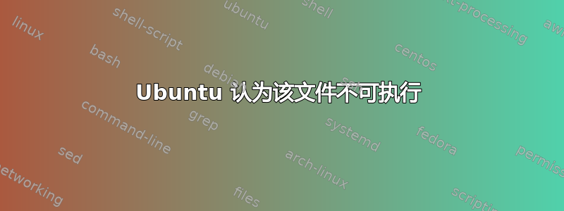 Ubuntu 认为该文件不可执行