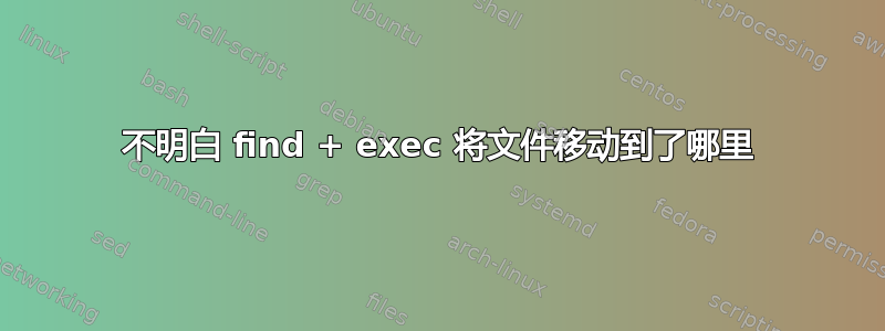 不明白 find + exec 将文件移动到了哪里