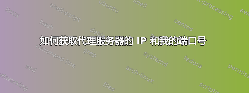 如何获取代理服务器的 IP 和我的端口号