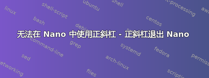 无法在 Nano 中使用正斜杠 - 正斜杠退出 Nano