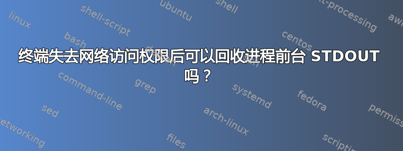 终端失去网络访问权限后可以回收进程前台 STDOUT 吗？