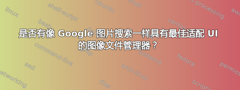 是否有像 Google 图片搜索一样具有最佳适配 UI 的图像文件管理器？