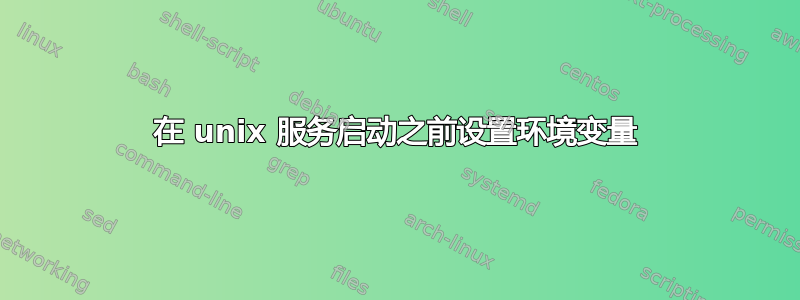 在 unix 服务启动之前设置环境变量