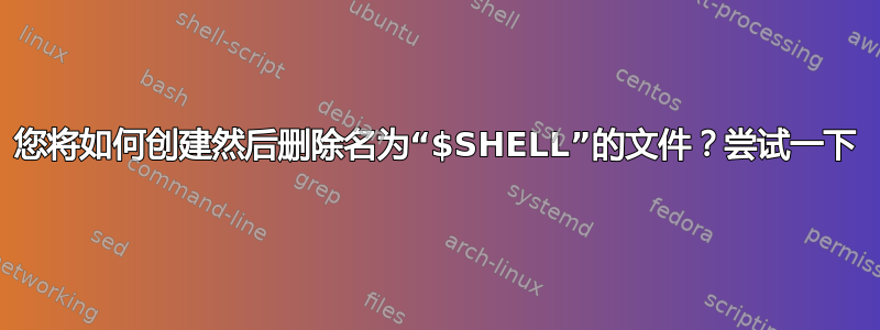 您将如何创建然后删除名为“$SHELL”的文件？尝试一下