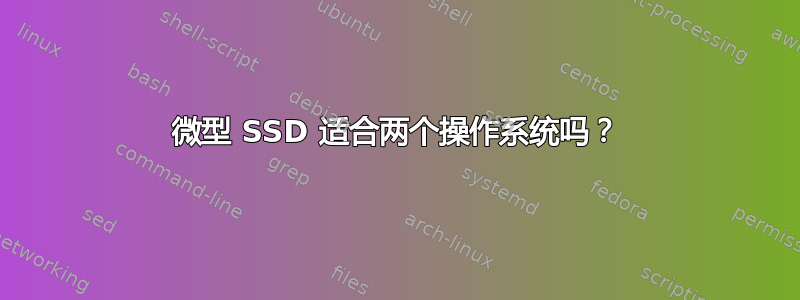 微型 SSD 适合两个操作系统吗？