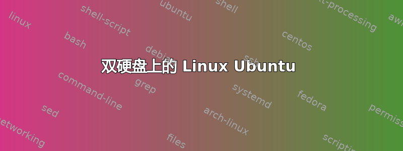 双硬盘上的 Linux Ubuntu